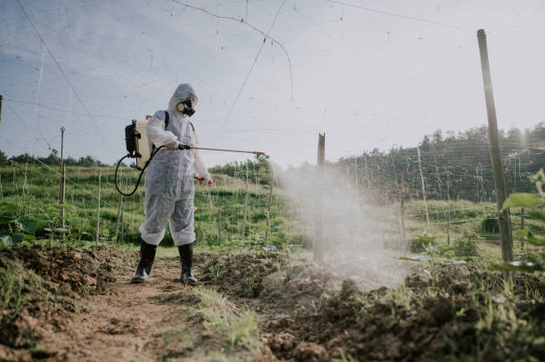 Pest Prevention Services in Dakota Dunes, SD