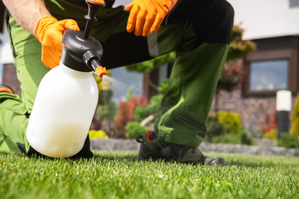 Best Affordable Pest Control Services  in Dakota Dunes, SD