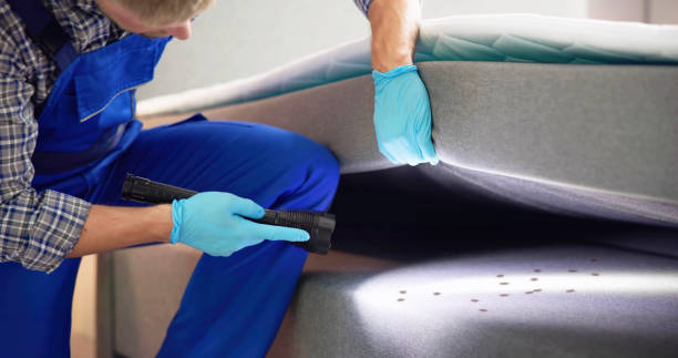Best Local Pest Control Services  in Dakota Dunes, SD