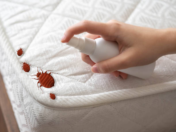 Best Pest Inspection Near Me  in Dakota Dunes, SD