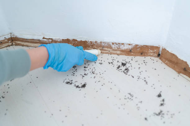Best Best Pest Control Companies  in Dakota Dunes, SD