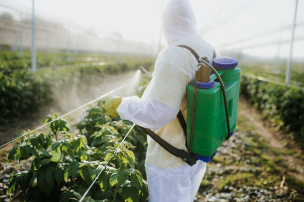 Best Flea Control Services  in Dakota Dunes, SD